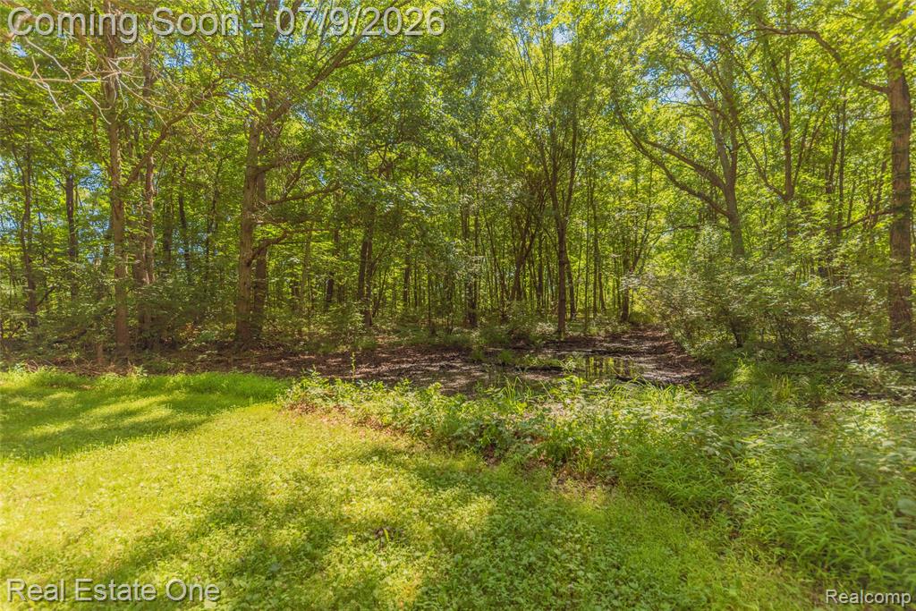 7965 Howard Street, Whitmore Lake, MI 48189 — Photo 11
