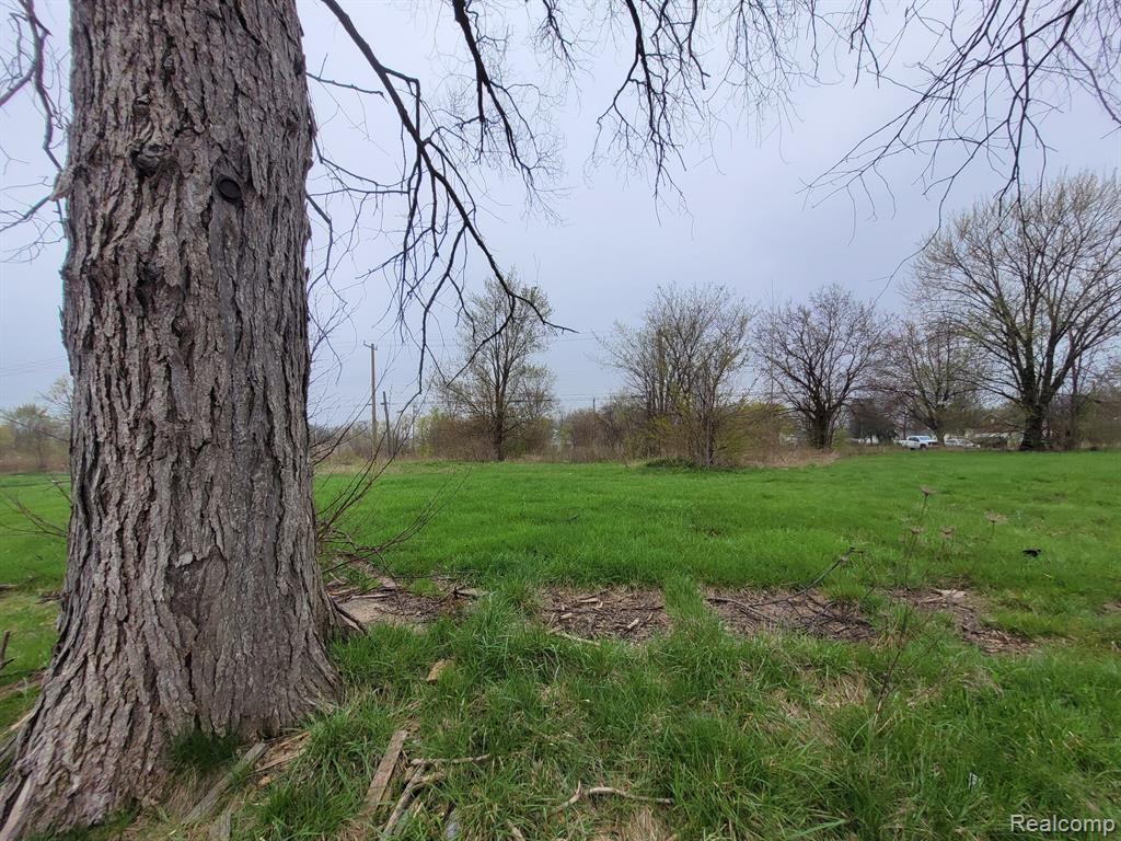 3919 BEACONSFIELD Street, Detroit, MI 48224 — Photo 2