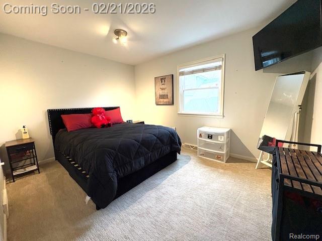 6332 Superior Drive, Brighton, MI 48116 — Photo 19