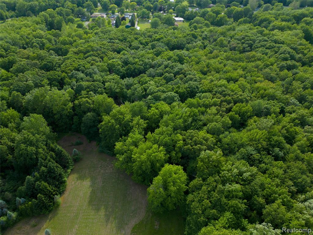 21515 Huron River Drive, New Boston, MI 48164 — Photo 54