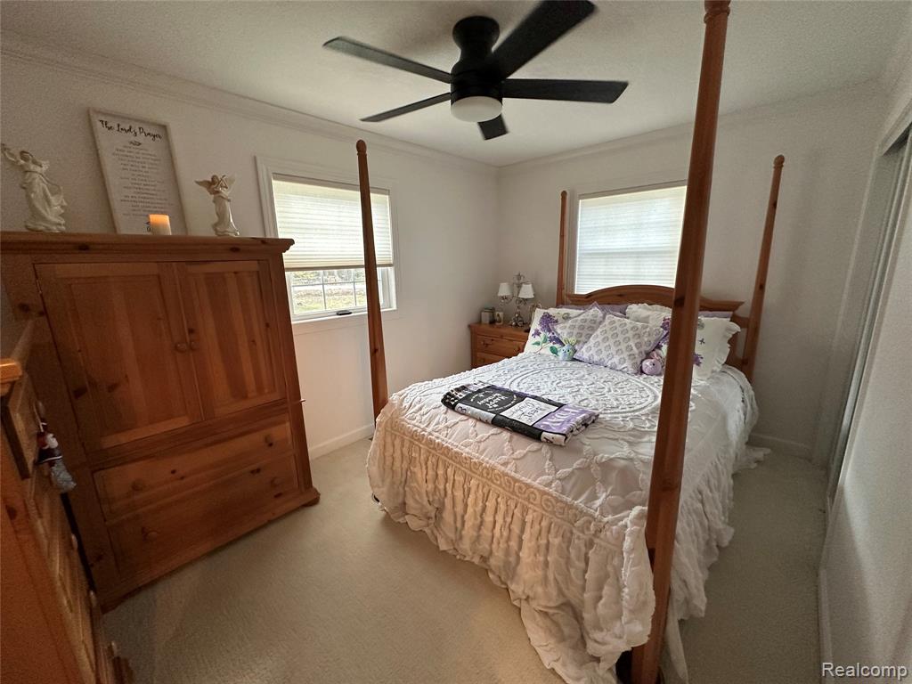 7726 Lake Street, Alanson, MI 49706 — Photo 37