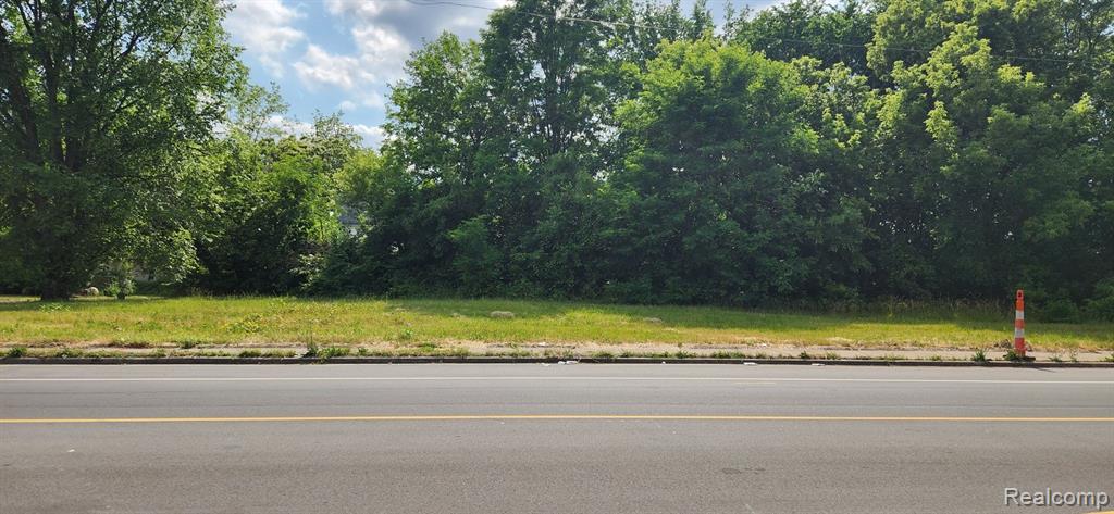 2705 MOUNT ELLIOTT Street, Detroit, MI 48207 — Photo 3