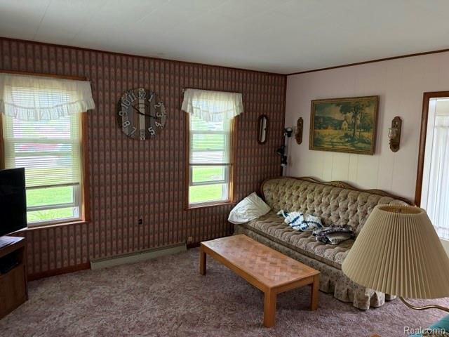 431 Lytle Avenue, Harbor Beach, MI 48441 — Photo 16