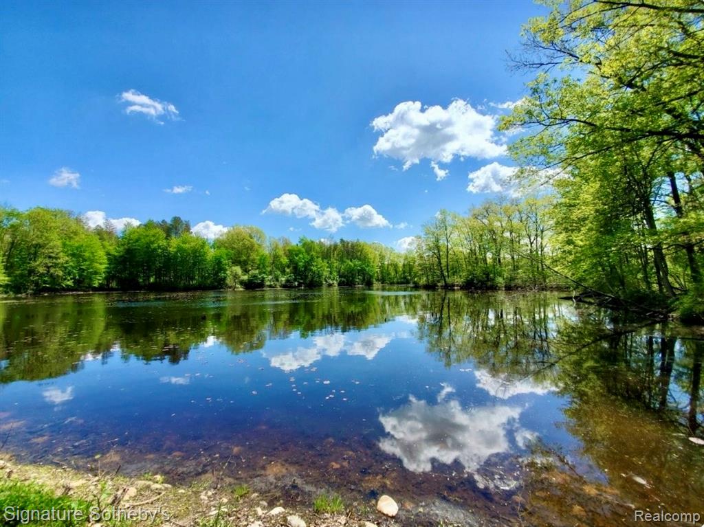 229 Forest Trail, Leroy, MI 49655 — Photo 10