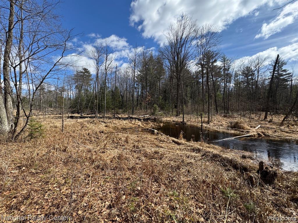 4233 Hardacre Trail, Houghton Lake, MI 48629 — Photo 19
