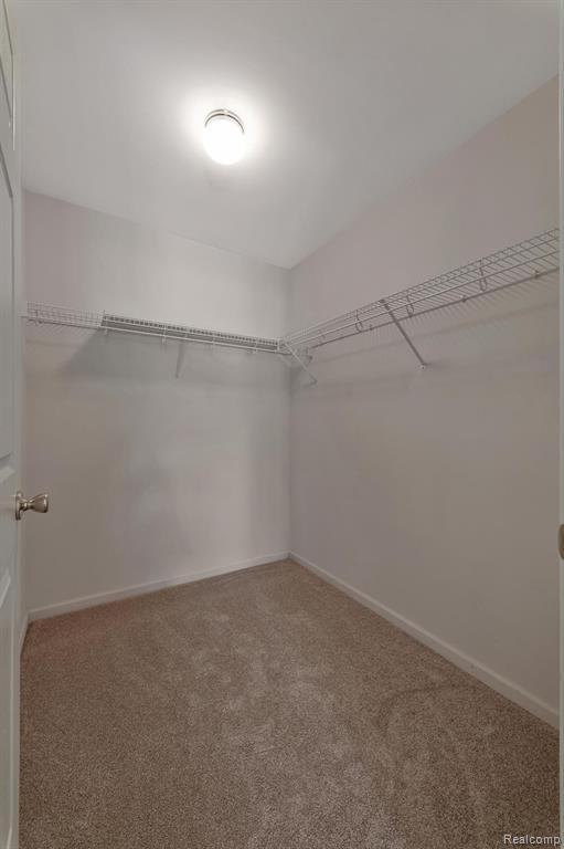 46254 CAVALIER Drive, Macomb, MI 48044 — Photo 31