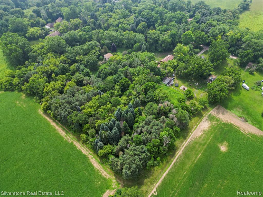 7635 Bordman Road, Almont, MI 48003 — Photo 12