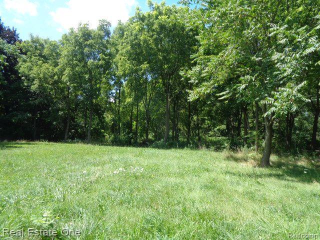 18985 TRINITY Street, Detroit, MI 48219 — Photo 4