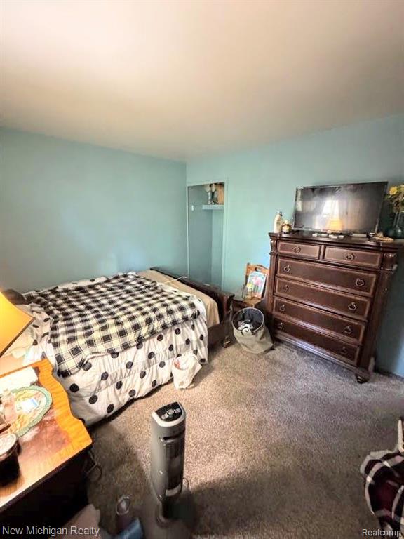 212 SUNNYBROOKE Drive, Vernon, MI 48476 — Photo 10