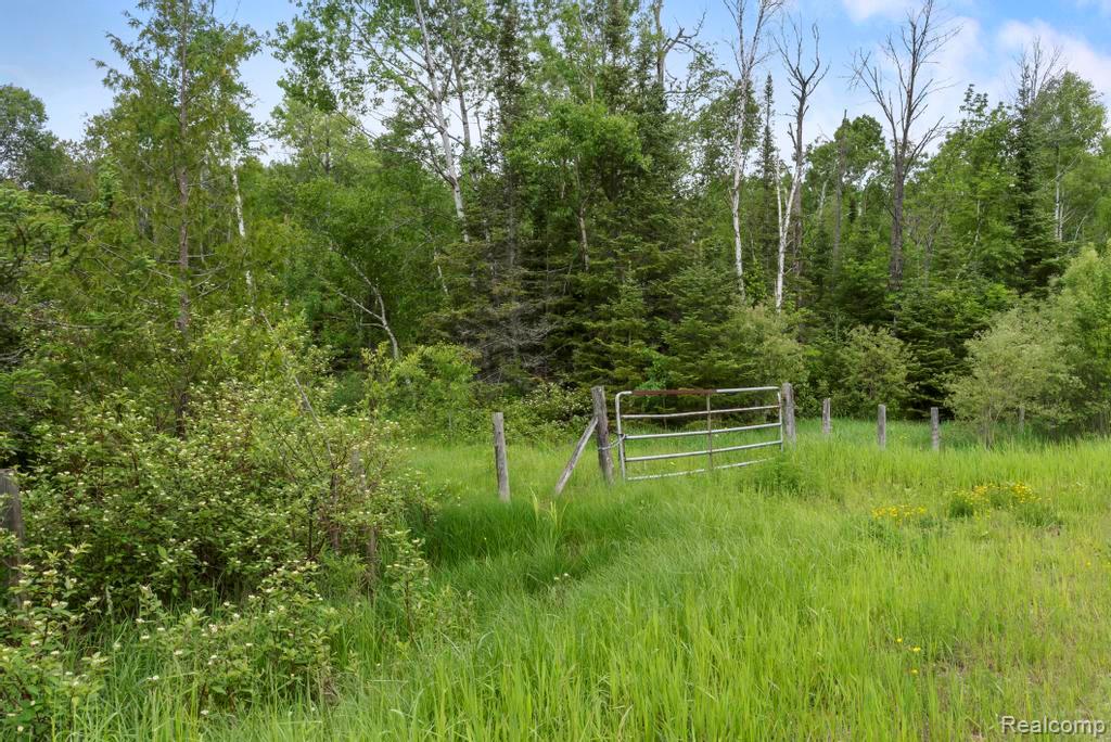 18031 State Highway M28, Newberry, MI 49868 — Photo 52