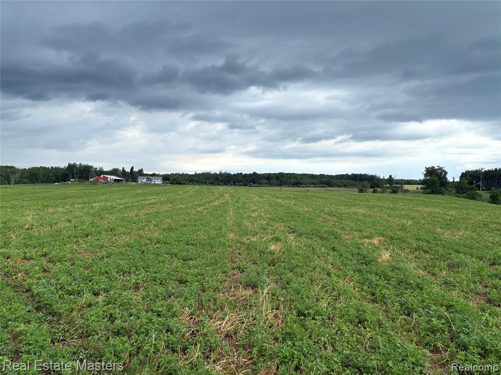 300 W Hubert Road, Spruce, MI — Photo 17