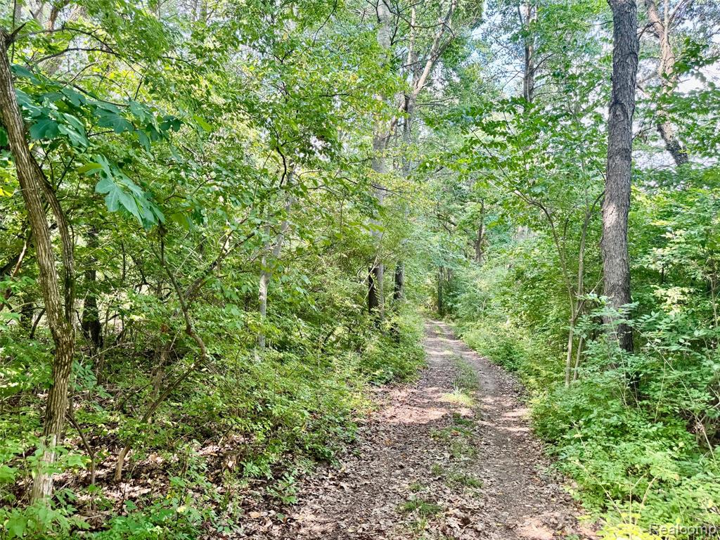 2250 E Dryden Road, Metamora, MI 48455 — Photo 73