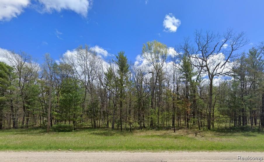V/L Parcel A Hwy 10 NW, Lake, MI 49304