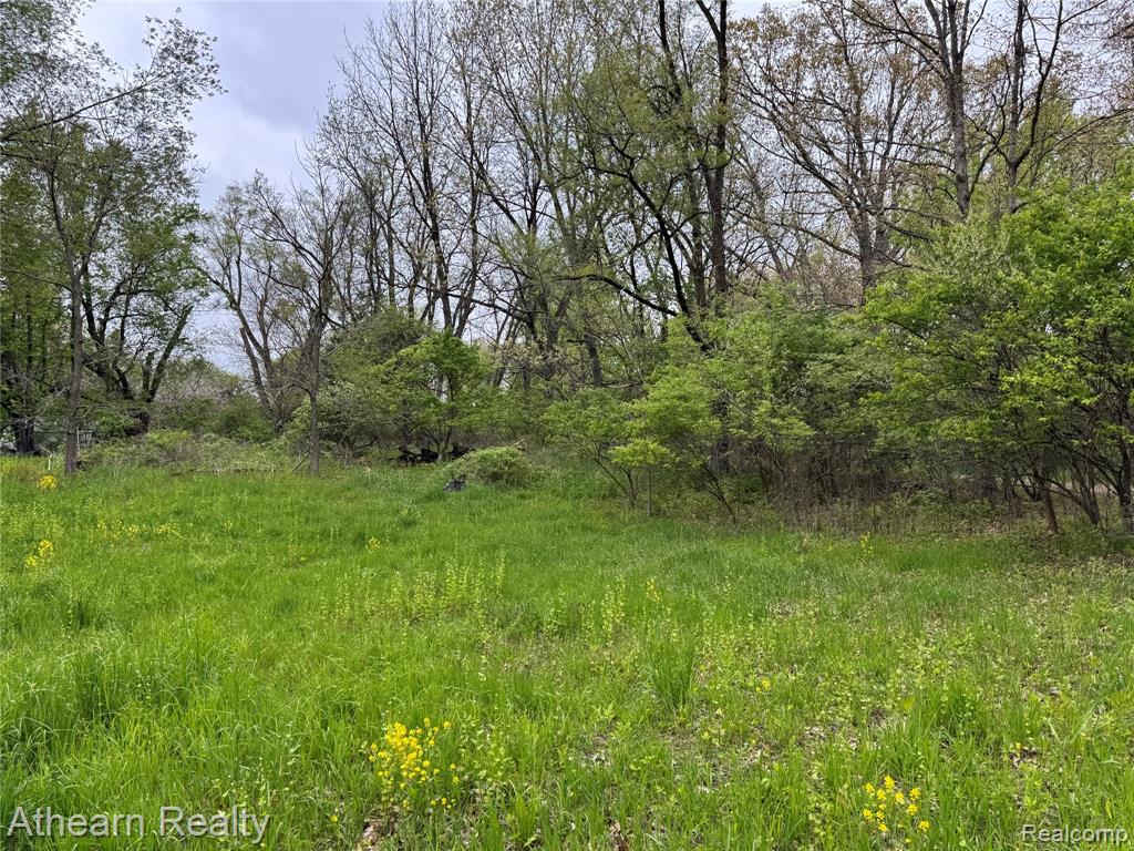 VL Dutton Rd Dutton Road, Gregory, MI 48137 — Photo 3