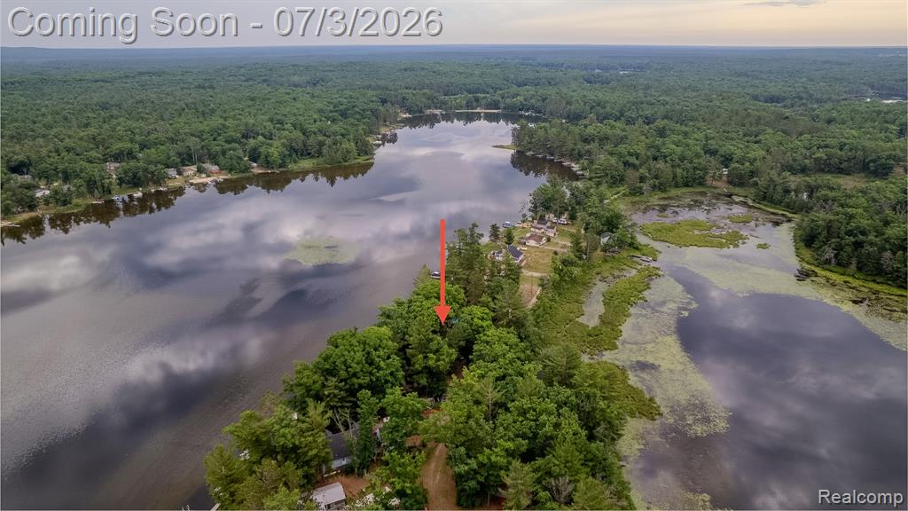 8272 Paradise Drive, South Branch, MI 48761 — Photo 44