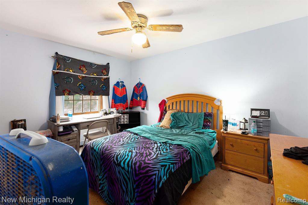 5155 CARRIGAN Road, Clyde, MI 48049 — Photo 18