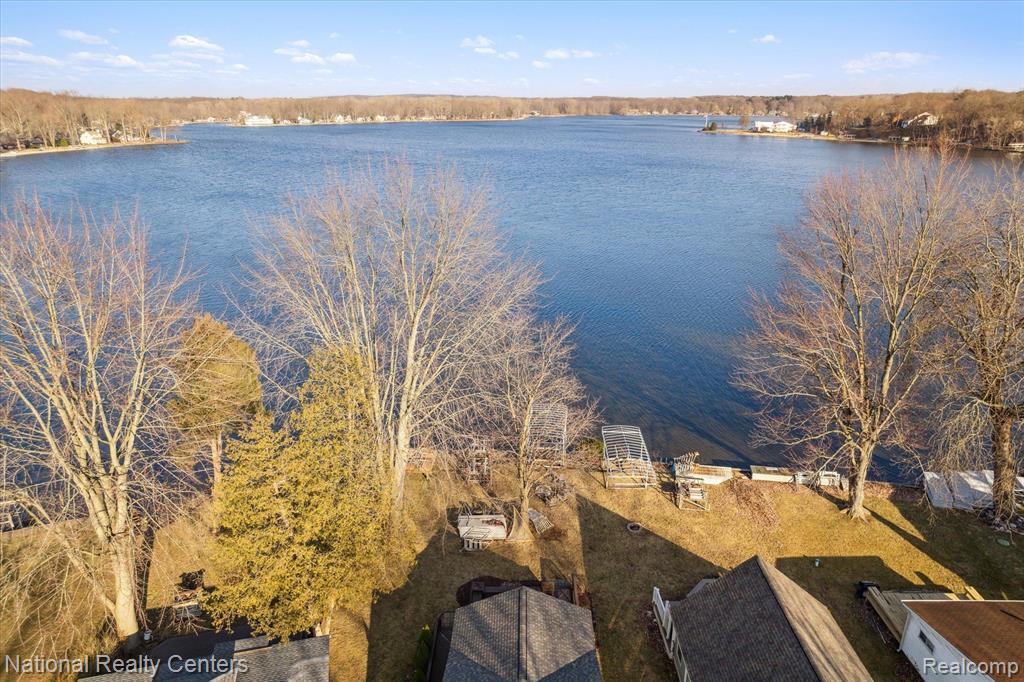 4807 DOWNING Drive, Pinckney, MI 48169 — Photo 3