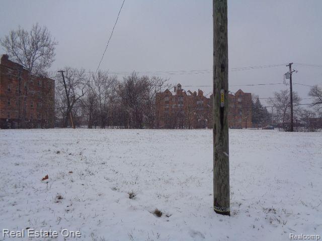 2736 ROCHESTER Street, Detroit, MI 48206 — Photo 4