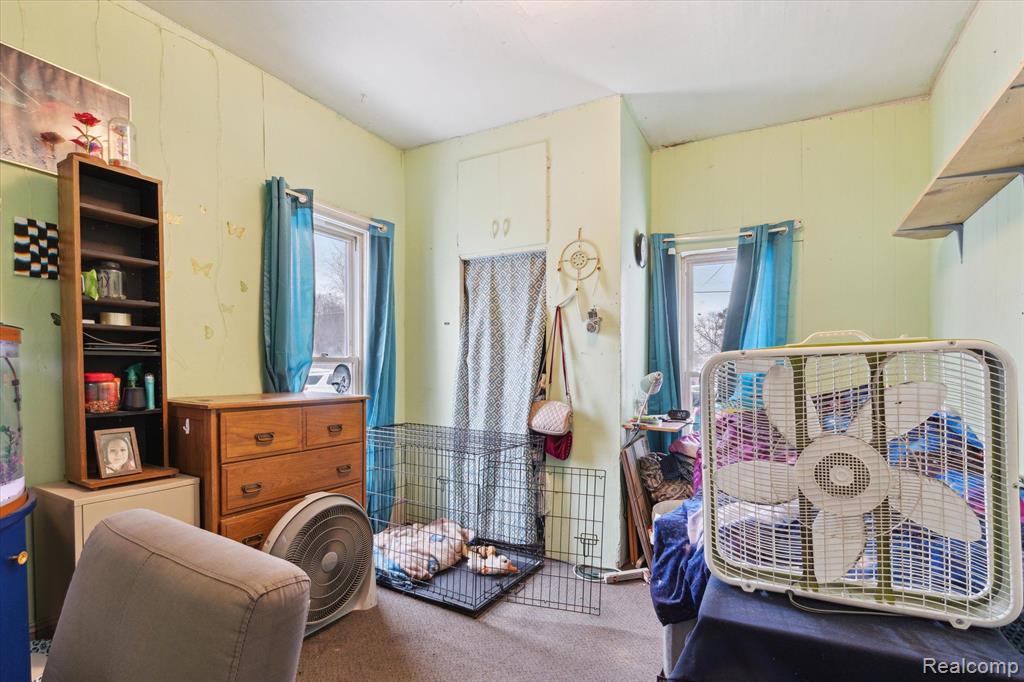 4242 SEEGER Street, Cass City, MI 48726 — Photo 9