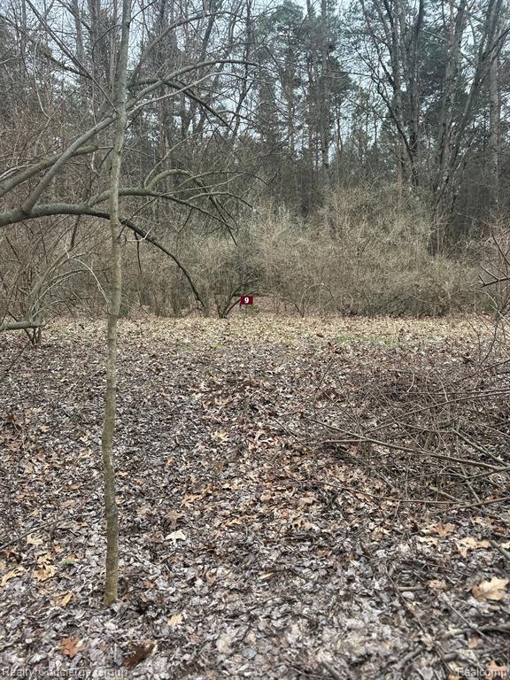 7165 SANCTUARY Drive, Jackson, MI 49201 — Photo 32