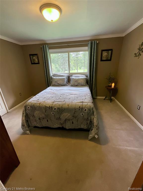 6010 N Seymour Road, Flushing, MI 48433 — Photo 37