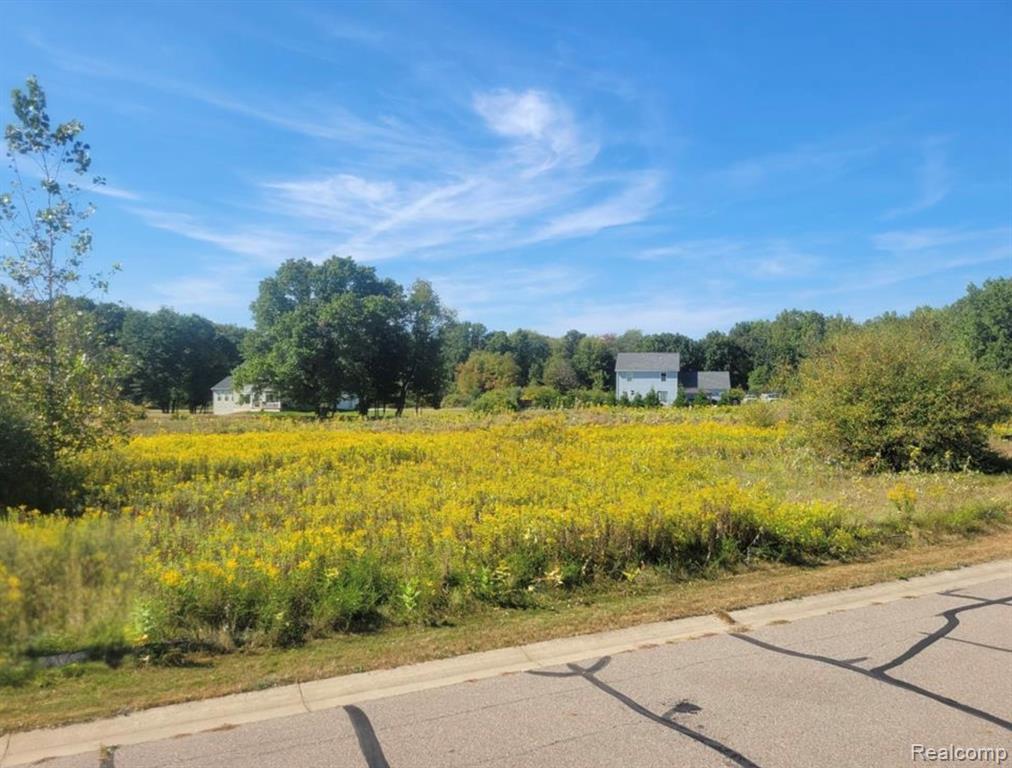 3681 Outback Trail, Putnam, MI 48169 — Photo 26