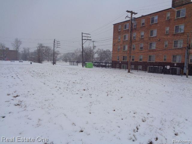 2736 ROCHESTER Street, Detroit, MI 48206 — Photo 9