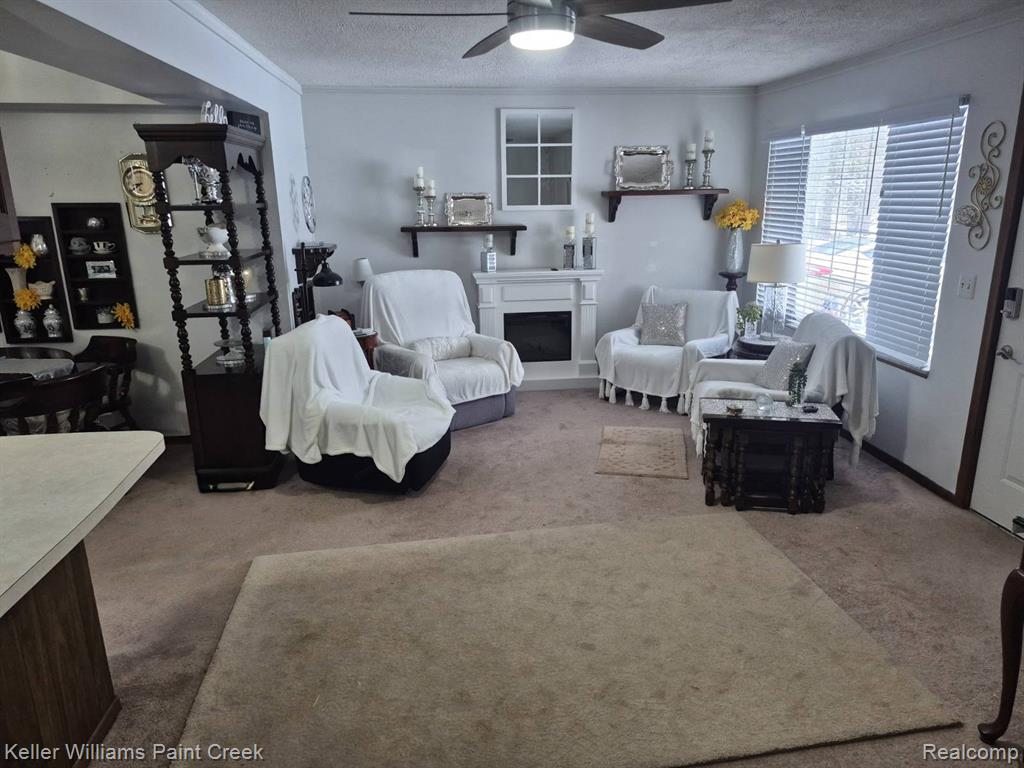 6373 Hall Road, Dryden, MI 48428 — Photo 2