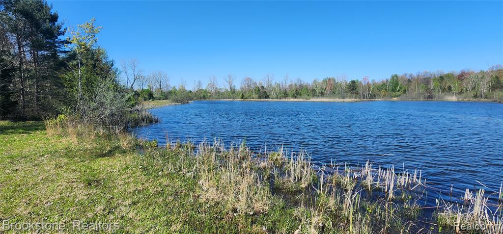 0 N Centerline Road, Brohman, MI, 49312