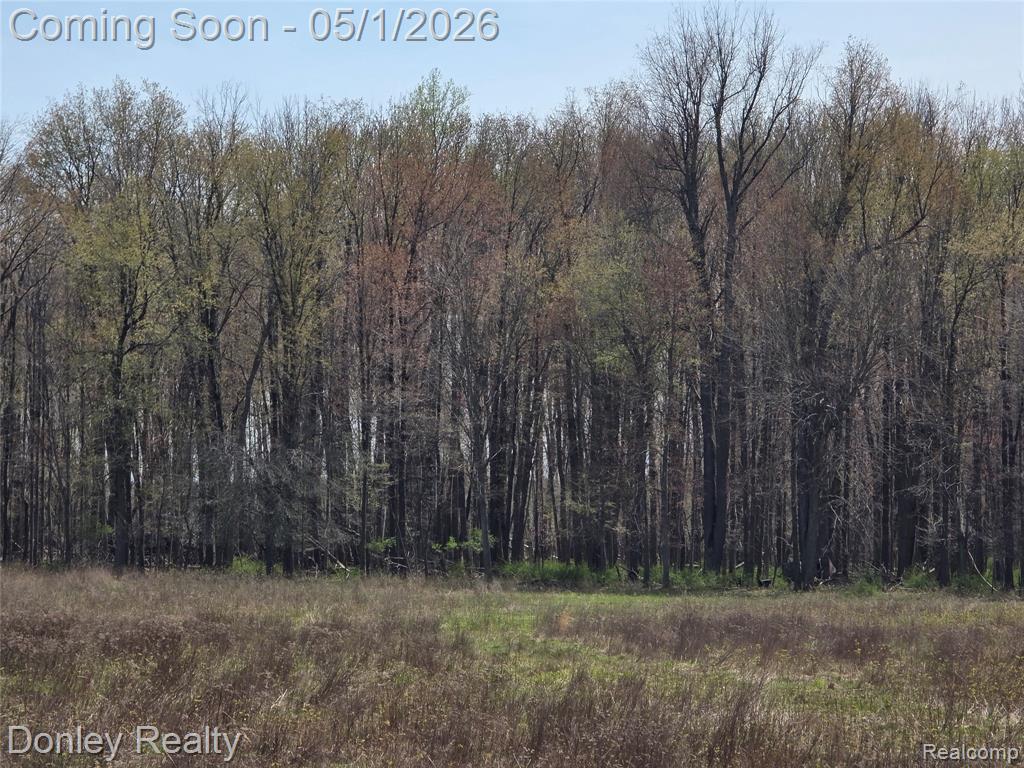 V/L Hyde Road, MI 48419 — Photo 3