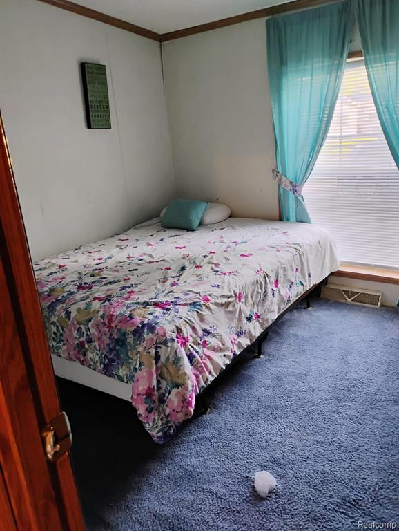 10414 N PARK Street, Casco, MI 48064 — Photo 14