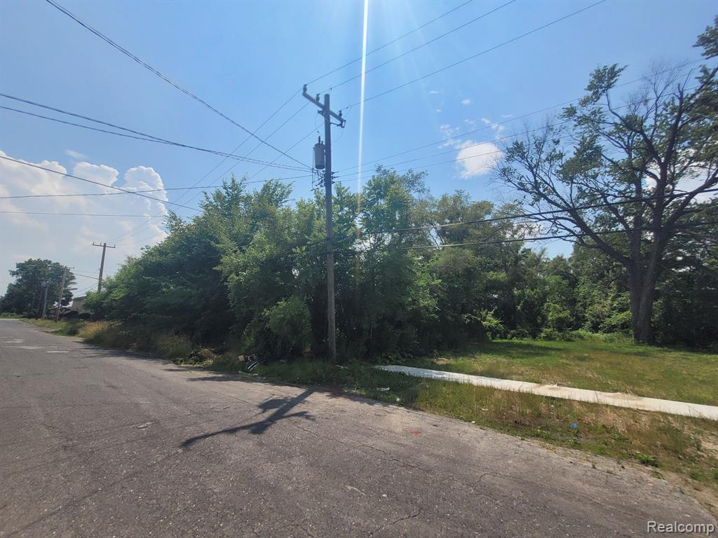 9585 IRIS Street, Detroit, MI 48227 — Photo 5