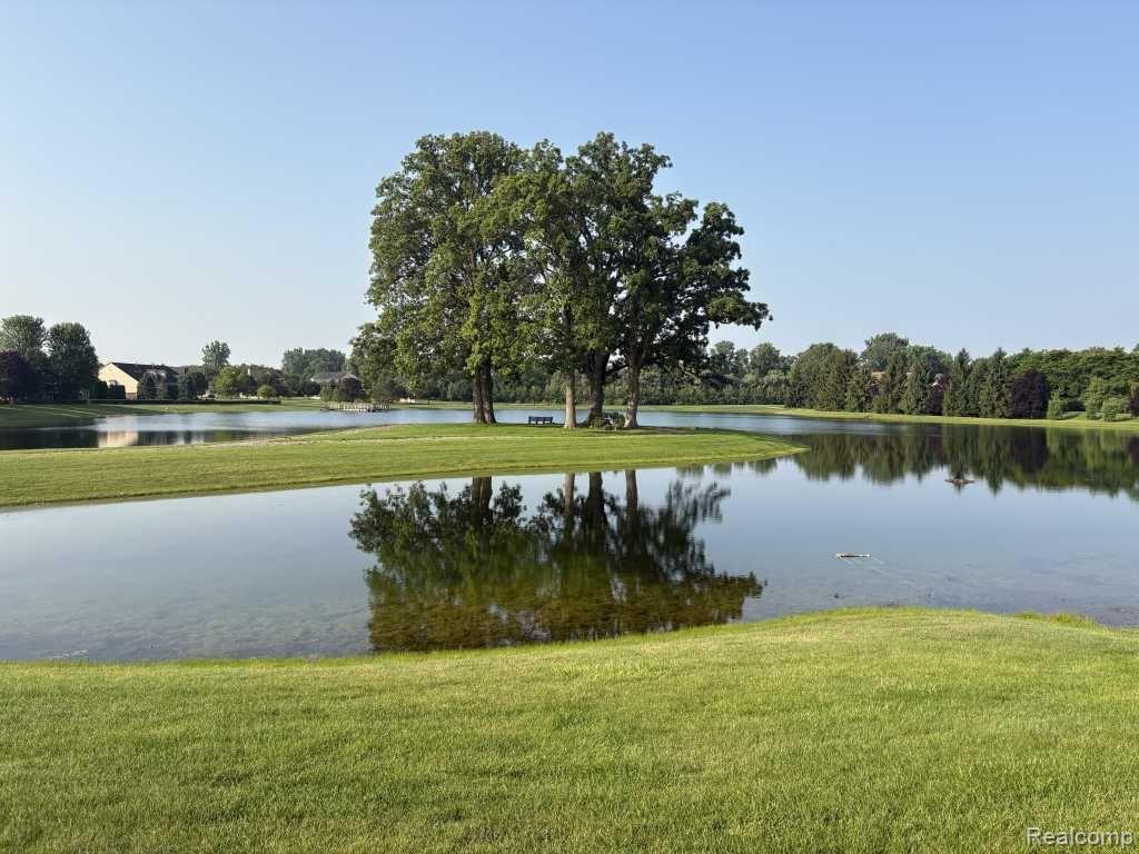 28242 Oakmonte Circle E, New Hudson, MI 48165 — Photo 22