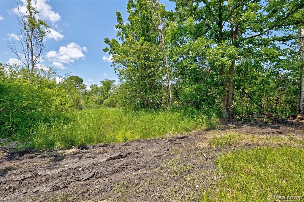 Vacant Land Brandt Road, Ortonville, MI 48462 — Photo 31