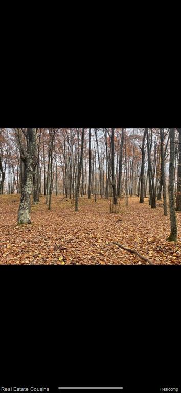 718 oak run, Harrison, MI 48622 — Photo 2