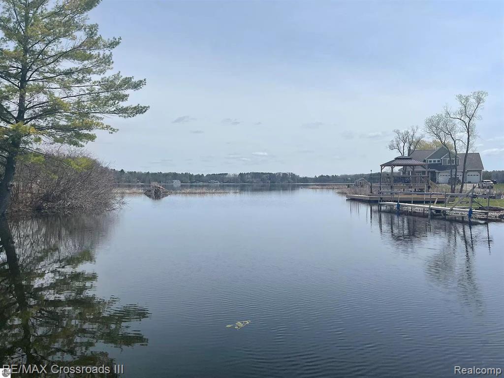 7527 COVE Road, Hale, MI 48739 — Photo 11