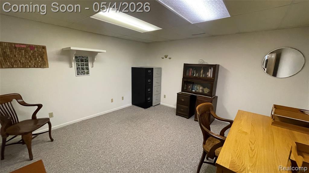 9142 Luea Lane, Swartz Creek, MI 48473 — Photo 38