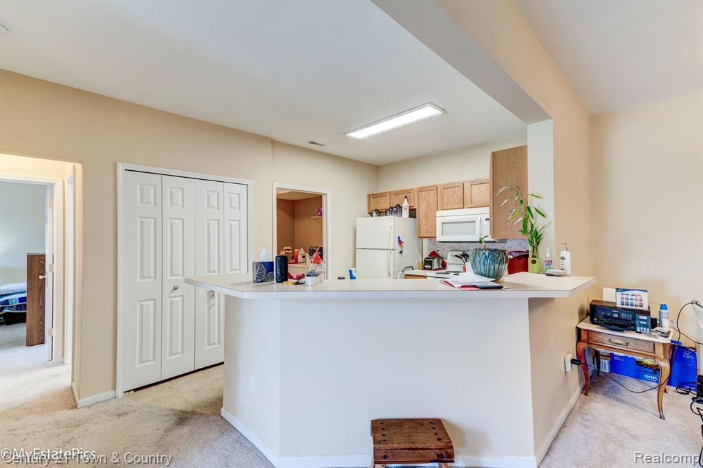 28104 CHESAPEAKE Circle, 334, Walled Lake, MI 48390 — Photo 11