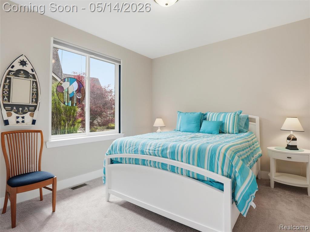 3513 Pointe Shore Drive, Brighton, MI 48114 — Photo 21