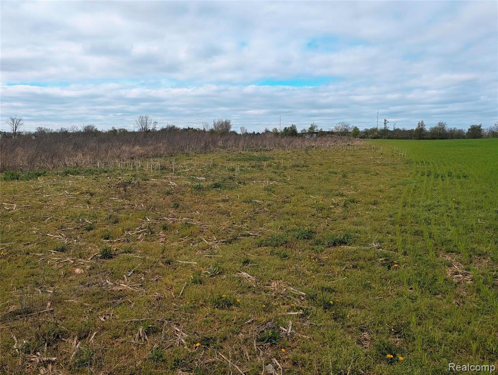 Parcel E Hogan Road, Linden, MI 48451 — Photo 22