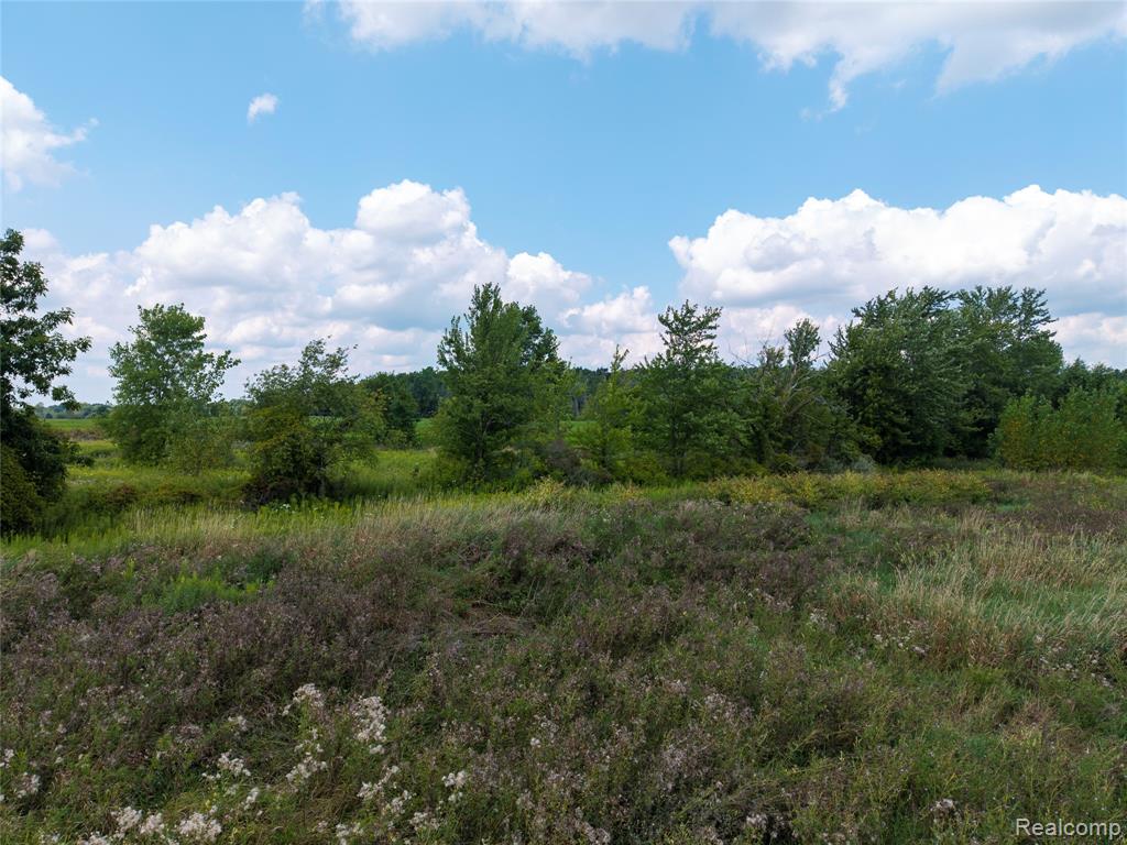 VL Sharp Road, Swartz Creek, MI 48473 — Photo 22