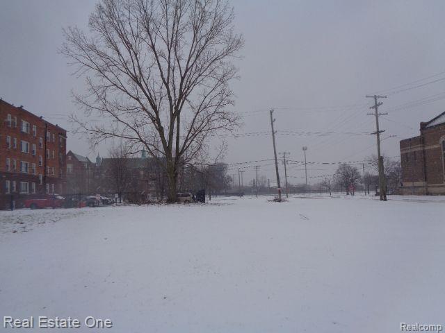 2691 ROCHESTER Street, Detroit, MI 48206 — Photo 4