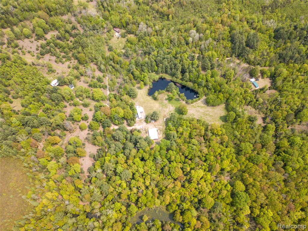 5960 N Trail SE, Kalkaska, MI 49646 — Photo 2