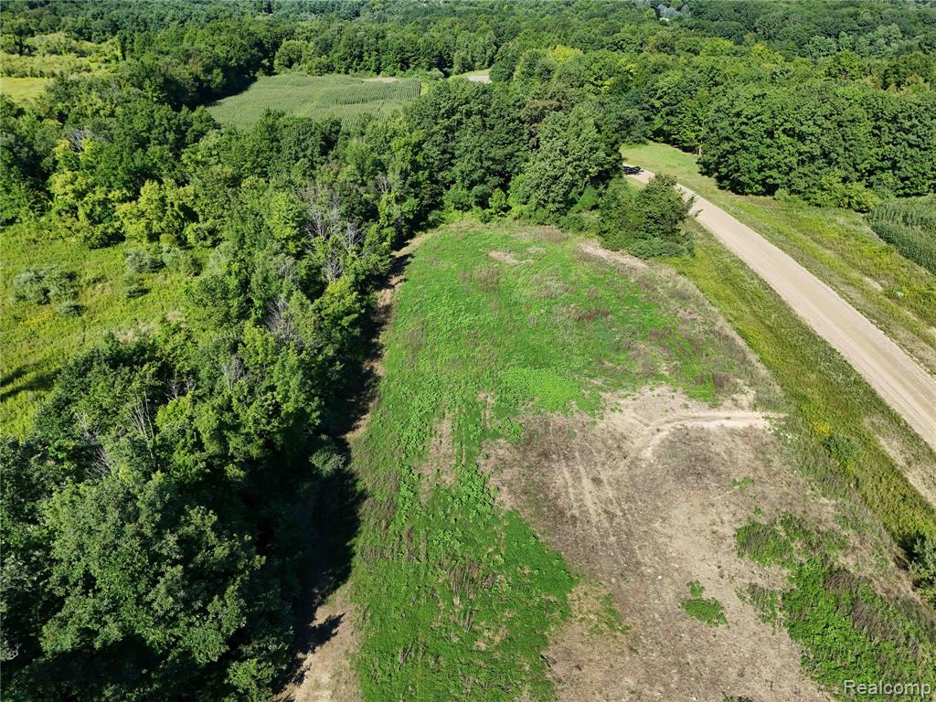 Parcel 2 Sycamore St, Dryden, MI 48428 — Photo 8