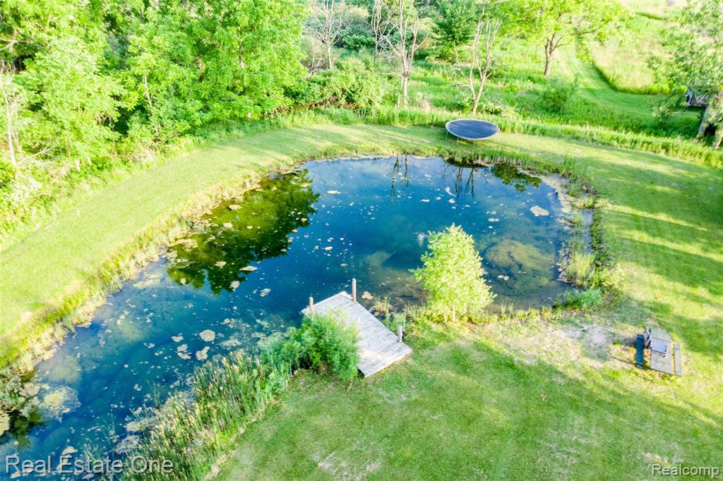 10125 Chase Lake Road, Fowlerville, MI 48836 — Photo 39