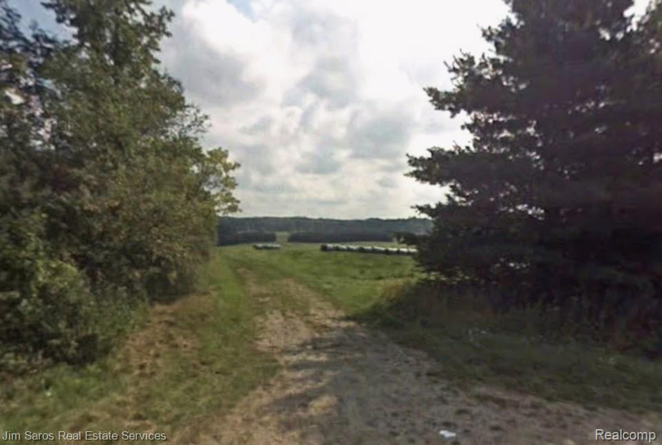 4771 E County Line Road, South Branch, MI 48761 — Photo 13