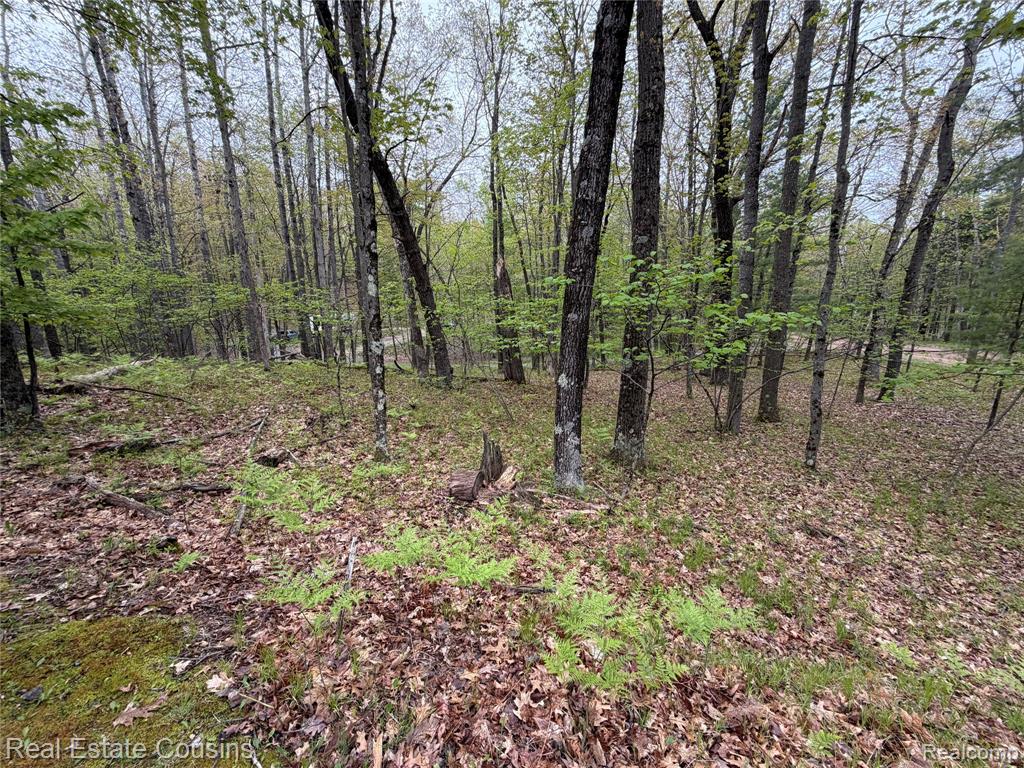 4701 Lake Road, Farwell, MI 48622 — Photo 22