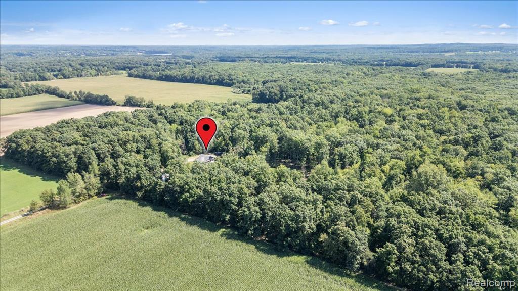 9274 Argentine Road, Linden, MI 48451 — Photo 4