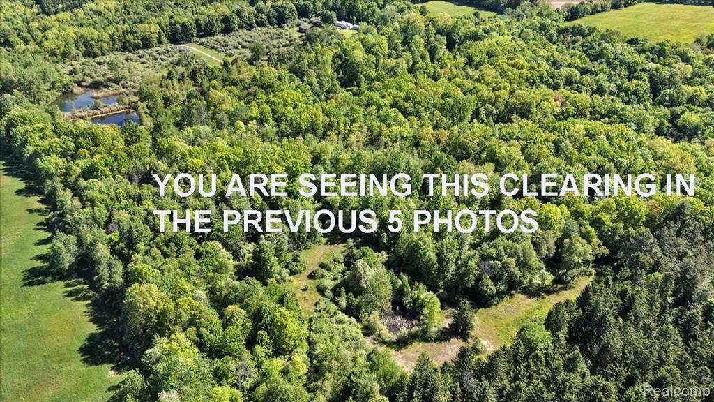 6250 Stine Road, Imlay City, MI 48444 — Photo 66