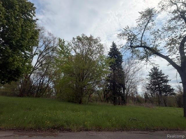 6002 Malcolm Street, Detroit, MI 48213 — Photo 2